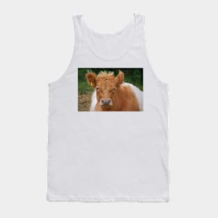 Belted Galloway Tank Top